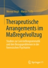 Image for Therapeutische Arrangements im Maßregelvollzug
