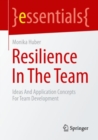 Image for Resilience in the team  : ideas and application concepts for team development