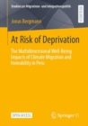 Image for At Risk of Deprivation