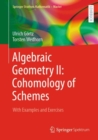 Image for Algebraic geometry  : with examples and exercisesII,: Cohomology of schemes