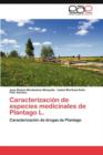 Image for Caracterizacion de Especies Medicinales de Plantago L.