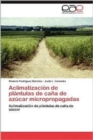 Image for Aclimatizacion de Plantulas de Cana de Azucar Micropropagadas