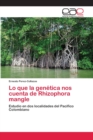 Image for Lo que la genetica nos cuenta de Rhizophora mangle