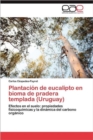 Image for Plantacion de Eucalipto En Bioma de Pradera Templada (Uruguay)
