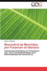 Image for Biocontrol de Marchitez Por Fusarium En Banano