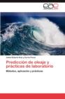 Image for Prediccion de Oleaje y Practicas de Laboratorio