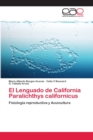 Image for El Lenguado de California Paralichthys californicus