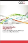 Image for Nanoparticulas Magneticas