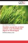 Image for Gestion Social de Un Bien Comun : Los Comites de Agua En Nicaragua