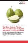 Image for Montaje de Una Planta Procesadora de Guayaba Manzana y Guayaba Pera