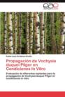Image for Propagacion de Vochysia Duquei Pilger En Condiciones in Vitro