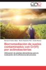 Image for Biorremediacion de Suelos Contaminados Con Cr(vi) Por Actinobacterias