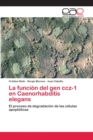 Image for La funcion del gen ccz-1 en Caenorhabditis elegans