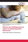 Image for Efecto de Antidepresivos sobre el Citoesqueleto Neuronal