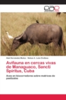 Image for Avifauna en cercas vivas de Managuaco, Sancti Spiritus, Cuba
