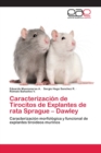 Image for Caracterizacion de Tirocitos de Explantes de rata Sprague - Dawley