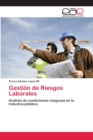 Image for Gestion de Riesgos Laborales