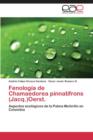 Image for Fenologia de Chamaedorea pinnatifrons (Jacq.)Oerst.