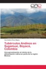 Image for Tuberculos Andinos en Sugamuxi, Boyaca, Colombia