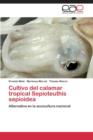 Image for Cultivo del calamar tropical Sepioteuthis sepioidea