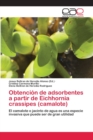 Image for Obtencion de adsorbentes a partir de Eichhornia crassipes (camalote)
