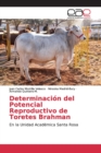 Image for Determinacion del Potencial Reproductivo de Toretes Brahman