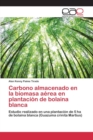 Image for Carbono almacenado en la biomasa aerea en plantacion de bolaina blanca