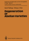 Image for Degeneration of abelian varieties