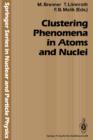 Image for Clustering Phenomena in Atoms and Nuclei : International Conference on Nuclear and Atomic Clusters, 1991, European Physical Society Topical Conference, Abo Akademi, Turku, Finland, June 3–7, 1991