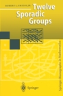 Image for Twelve sporadic groups
