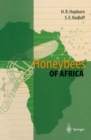 Image for Honeybees of Africa