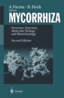 Image for Mycorrhiza: Structure, Function, Molecular Biology and Biotechnology