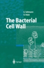 Image for The bacterial cell wall