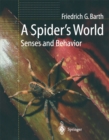 Image for A spider&#39;s world: senses and behavior