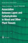 Image for Association Between Lignin and Carbohydrates in Wood and Other Plant Tissues