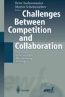 Image for Challenges between competition and collaboration: the future of the european manufacturing industry