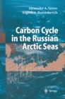 Image for Carbon cycle in the Russian Arctic seas