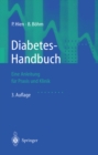 Image for Diabetes-handbuch: Eine Anleitung Fur Praxis Und Klinik