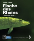 Image for Fische Des Rheins: - Fruher Und Heute -
