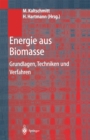 Image for Energie Aus Biomasse: Grundlagen, Techniken Und Verfahren