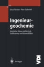 Image for Ingenieurgeochemie: Technische Geochemie - Konzepte und Praxis