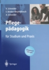 Image for Pflegepadagogik: Fur Studium Und Praxis
