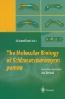 Image for Molecular Biology of Schizosaccharomyces pombe: Genetics, Genomics and Beyond
