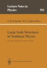 Image for Large Scale Structures in Nonlinear Physics