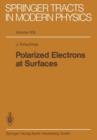 Image for Polarized Electrons at Surfaces