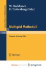 Image for Multigrid Methods II