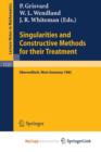 Image for Singularities and Constructive Methods for Their Treatment : Proceedings of the Conference held in Oberwolfach, West Germany, November 20-26, 1983