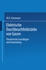 Image for Elektrische Durchbruchfeldstarke von Gasen: Theoretische Grundlagen und Anwendung
