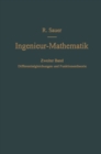 Image for Differentialgleichungen und Funktionentheorie
