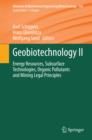 Image for Geobiotechnology II: Energy Resources, Subsurface Technologies, Organic Pollutants and Mining Legal Principles